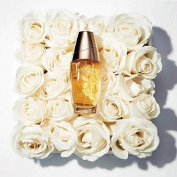 بيوتيفول للنساء من استي لودر 75 مل Beautiful for women by Estee Lauder